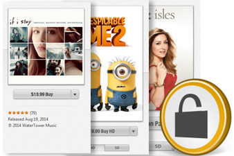 Remove DRM protection from iTunes