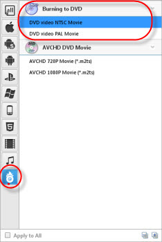 choose dvd output format