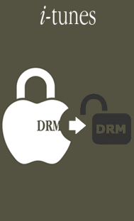 remove drm from itunes videos